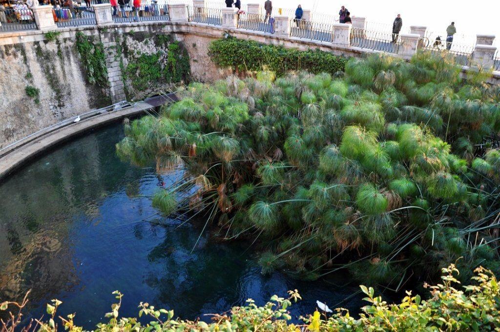 Siracusa Vacanze Syracuse Phòng bức ảnh